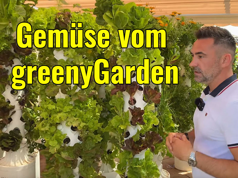 greenyGarden-im-Garten